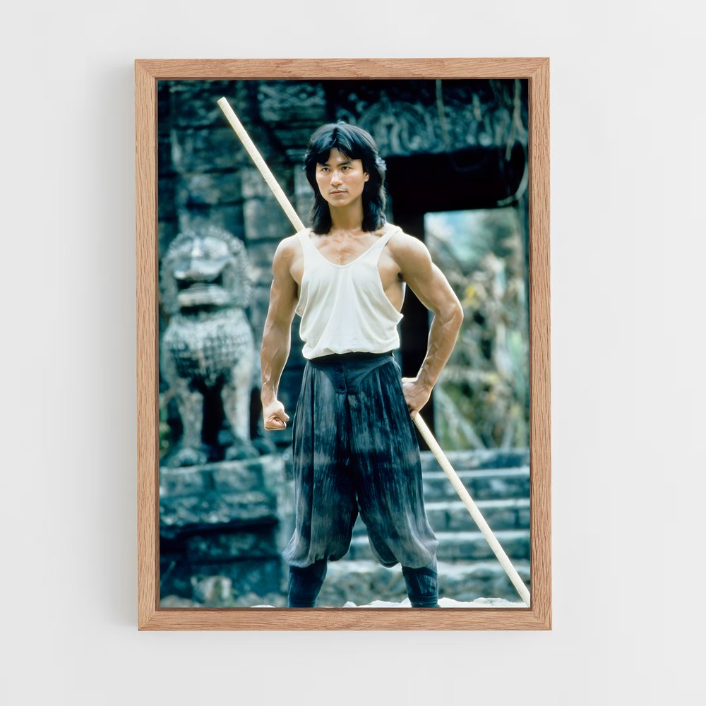 Poster Maître des Arts Martiaux – affiche Mortal kombat (vue 4)